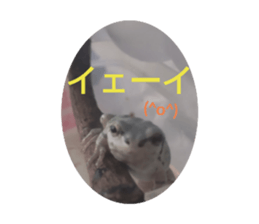 565812630
