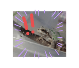 565812635
