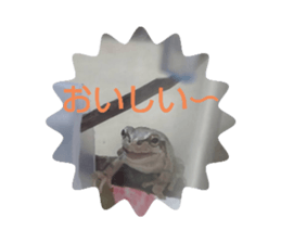 565812646