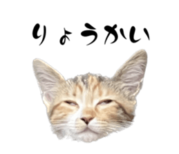 565851668