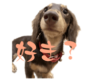 565865398