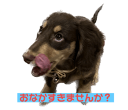 565865402