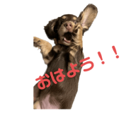 565865403
