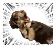 565865404