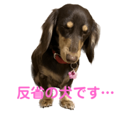 565865405