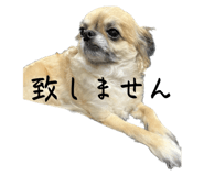 565865406