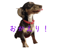 565865413