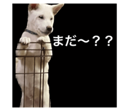 565869297