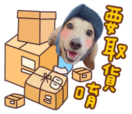 565891002