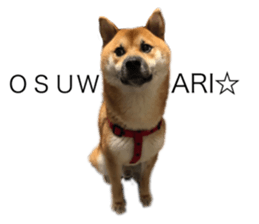 565895850