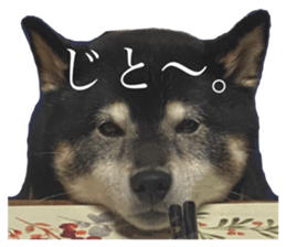 565923087