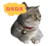 565924462
