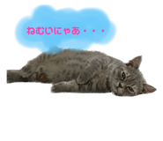 565924463