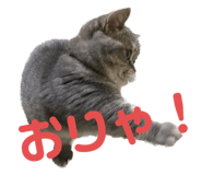565924469