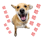 565937151