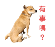 565937153