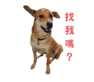 565937154
