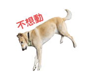 565937155