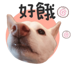 565977534