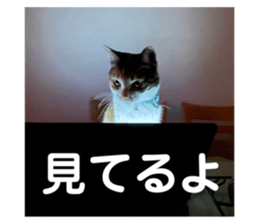 565997137