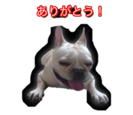 565997207