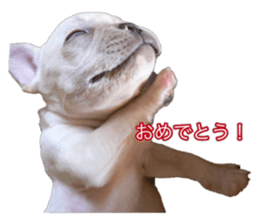 565997212