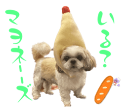 565997700