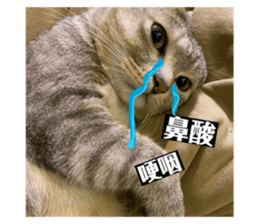 566003606