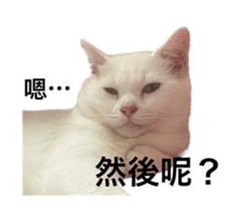 566004880