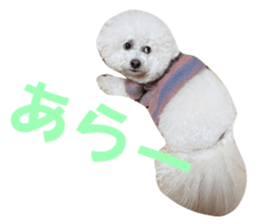566006288