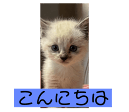 566006928