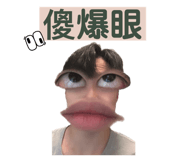 566017325