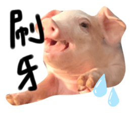 566034002