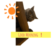 566034183