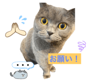 566034186