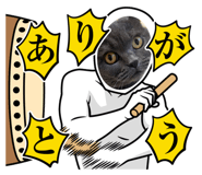 566034187