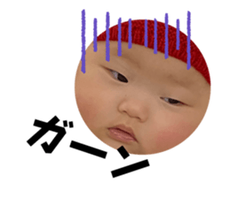 566034506