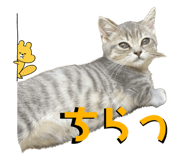 566075731