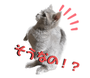 566075735