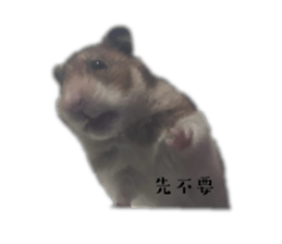 566079415