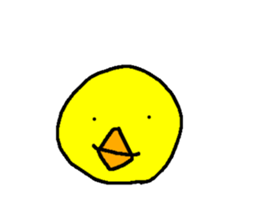 566103934