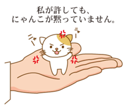 5661885