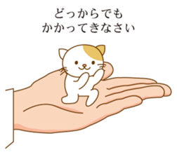 5661919
