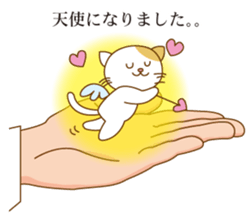 5661920
