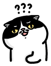 566227127
