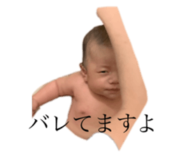 566227868