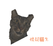 566227990