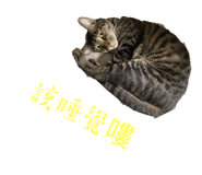 566227994