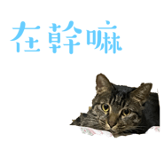 566227996