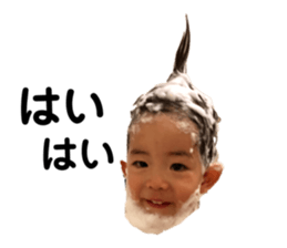 566233060